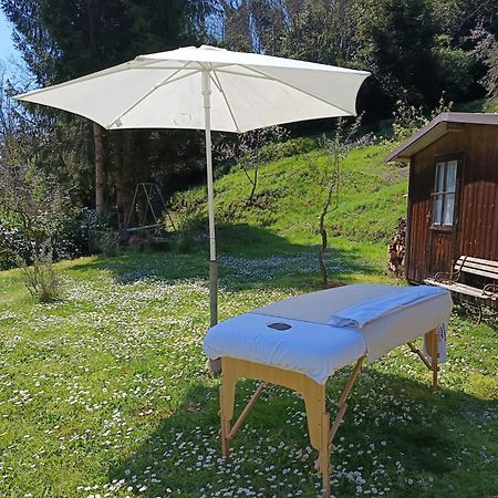La Casa Del Nonno - Tiny House Villa Reggello Eksteriør billede